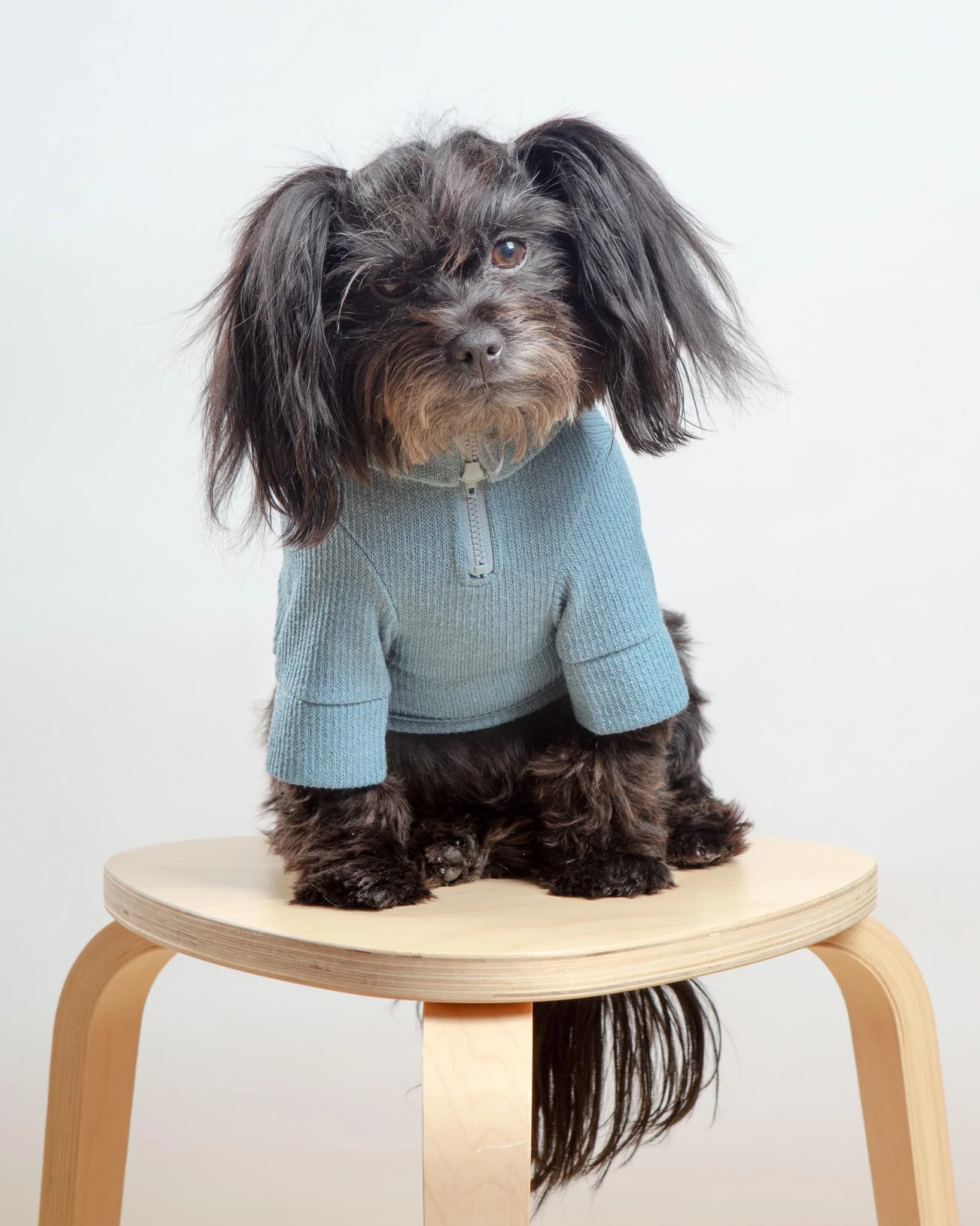 Foldover Half-Zip Dog Knit Sweater (FINAL SALE) - Image 4