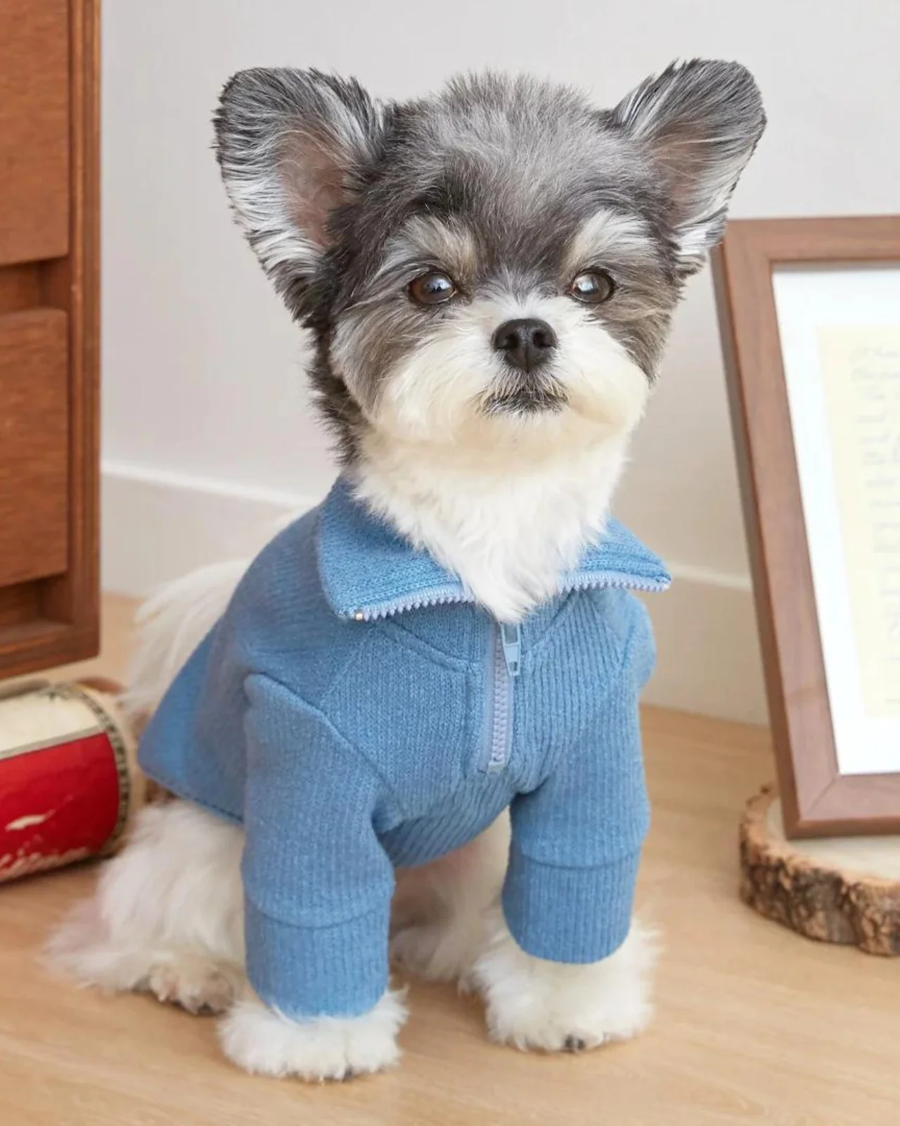 Foldover Half-Zip Dog Knit Sweater (FINAL SALE) - Image 5