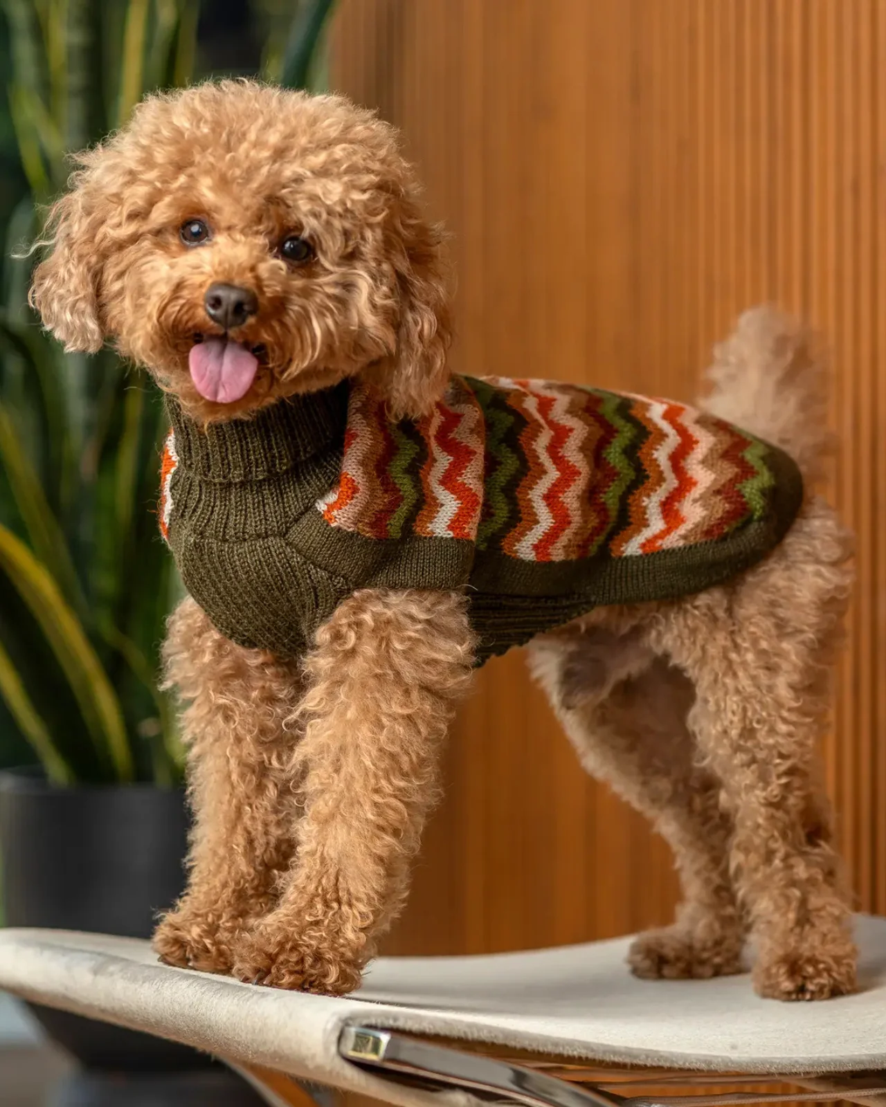 Forest Chevron Alpaca Knit Dog Sweater (FINAL SALE) - Image 3