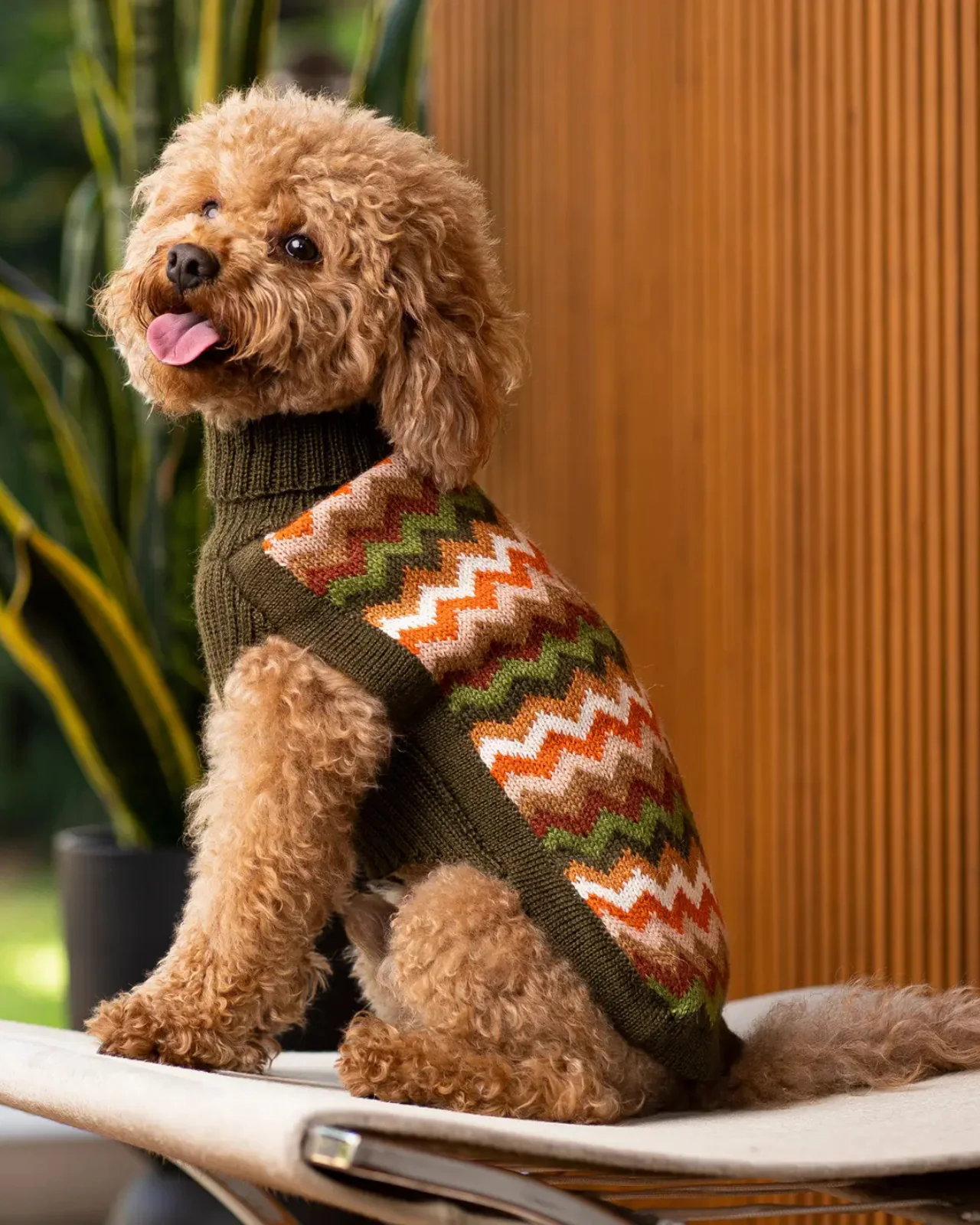 Forest Chevron Alpaca Knit Dog Sweater (FINAL SALE) - Image 4
