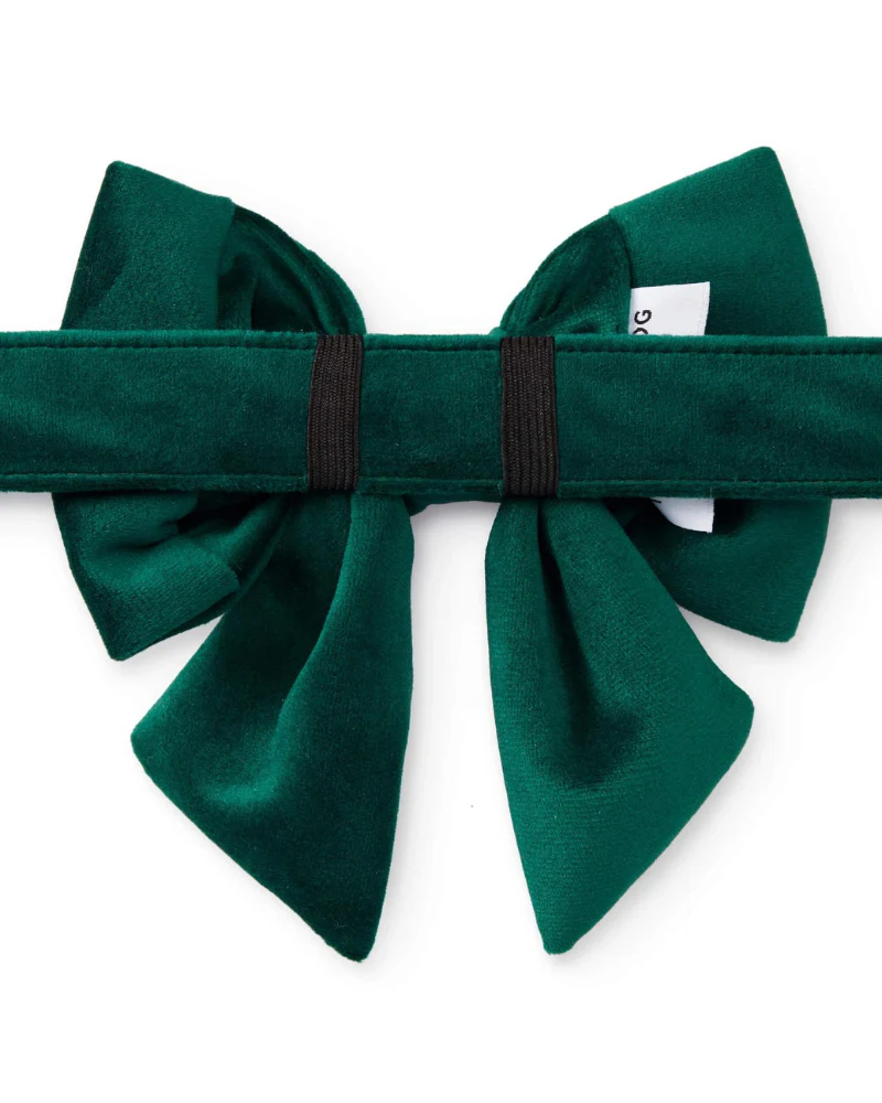 Forest Green Velvet Lady Dog Bow Tie (Made in the USA) - Image 5