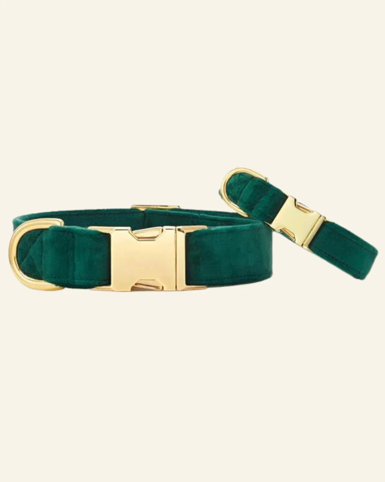 Forest Green Velvet Dog Collar (FINAL SALE) - Image 7