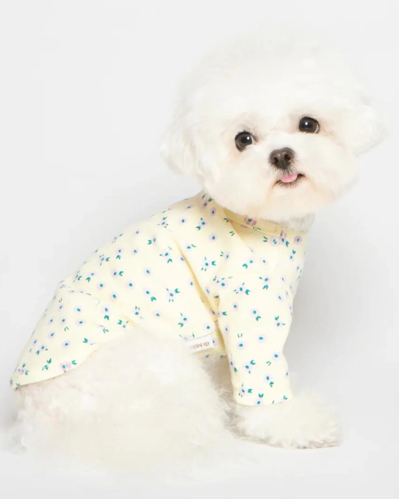 Forget-Me-Not Cozy Dog Shirt in Yellow (FINAL SALE) - Image 3