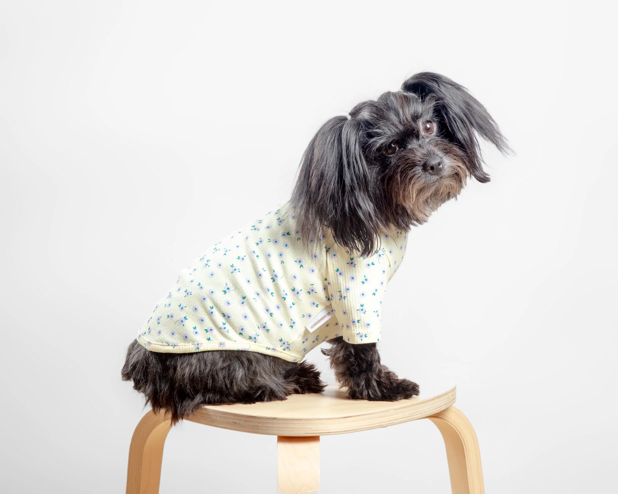 Forget-Me-Not Cozy Dog Shirt in Yellow (FINAL SALE) - Image 5