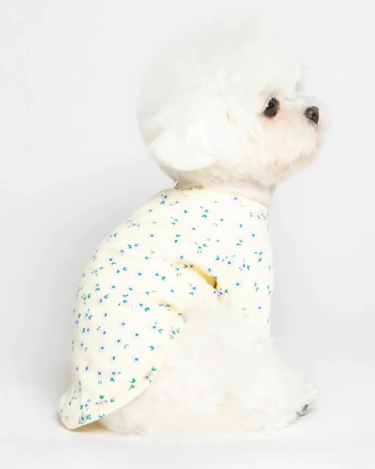 Forget-Me-Not Cozy Dog Shirt in Yellow (FINAL SALE) - Image 7