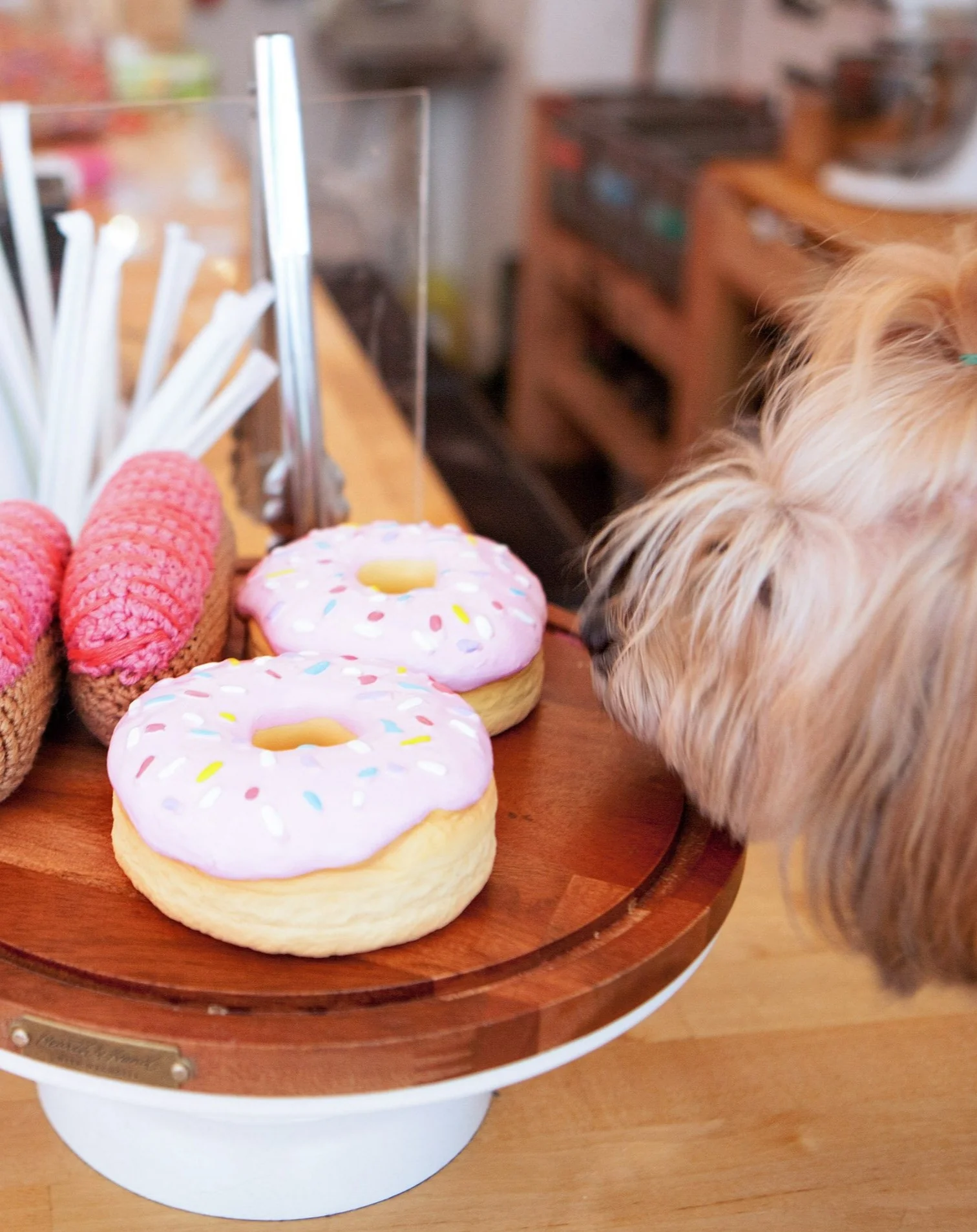 Donut Latex Squeaky Dog Toy - Image 5