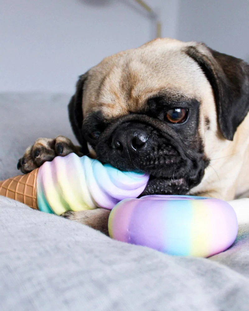 Rainbow Swirl Ice Cream Latex Squeaky Dog Toy (FINAL SALE) - Image 2