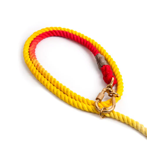 FOUND MY ANIMAL | Adjustable Rope Lead in Prismatic - Image 3