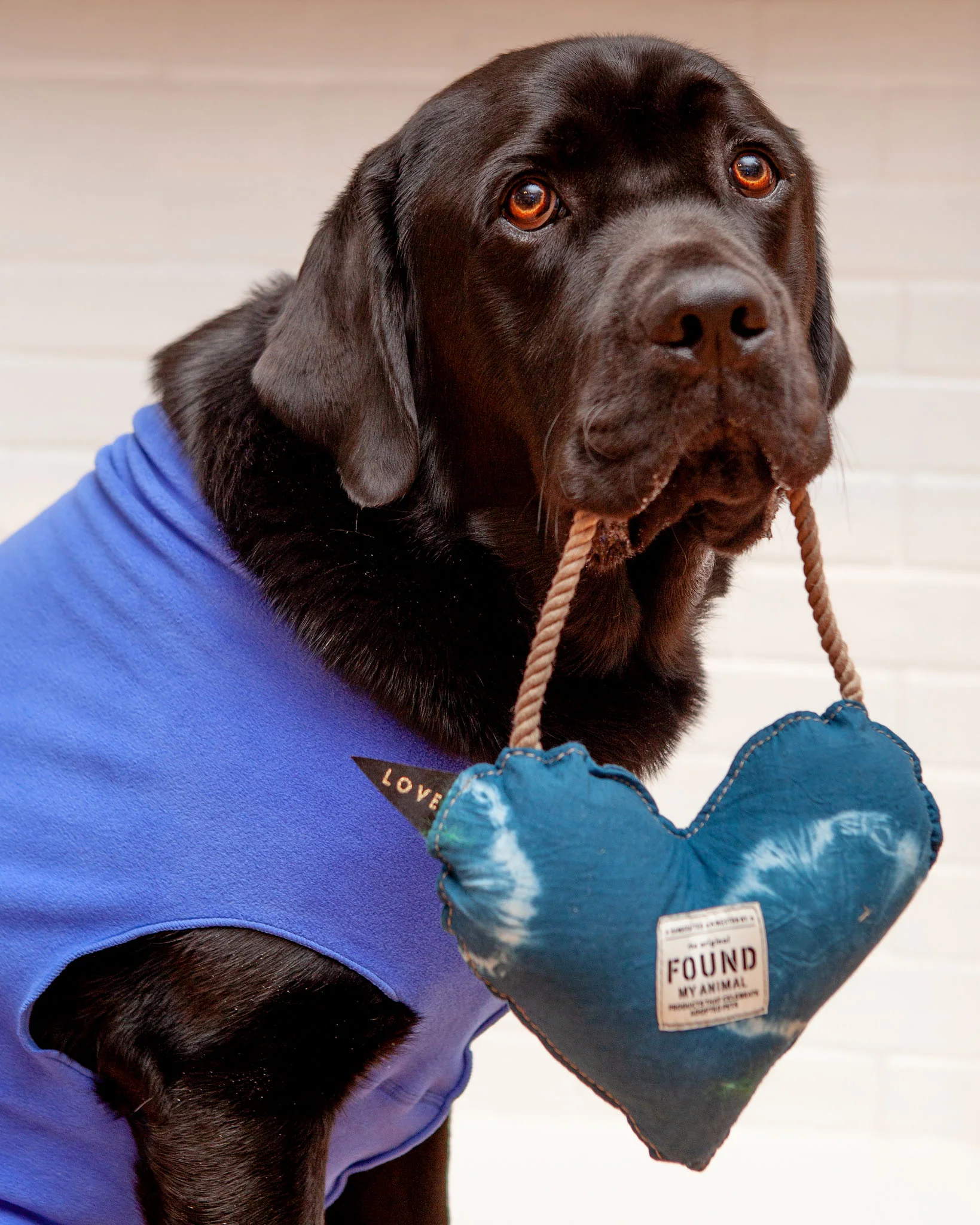 Batik Cotton Heart Dog Toy in Indigo (Made in the USA) - Image 2