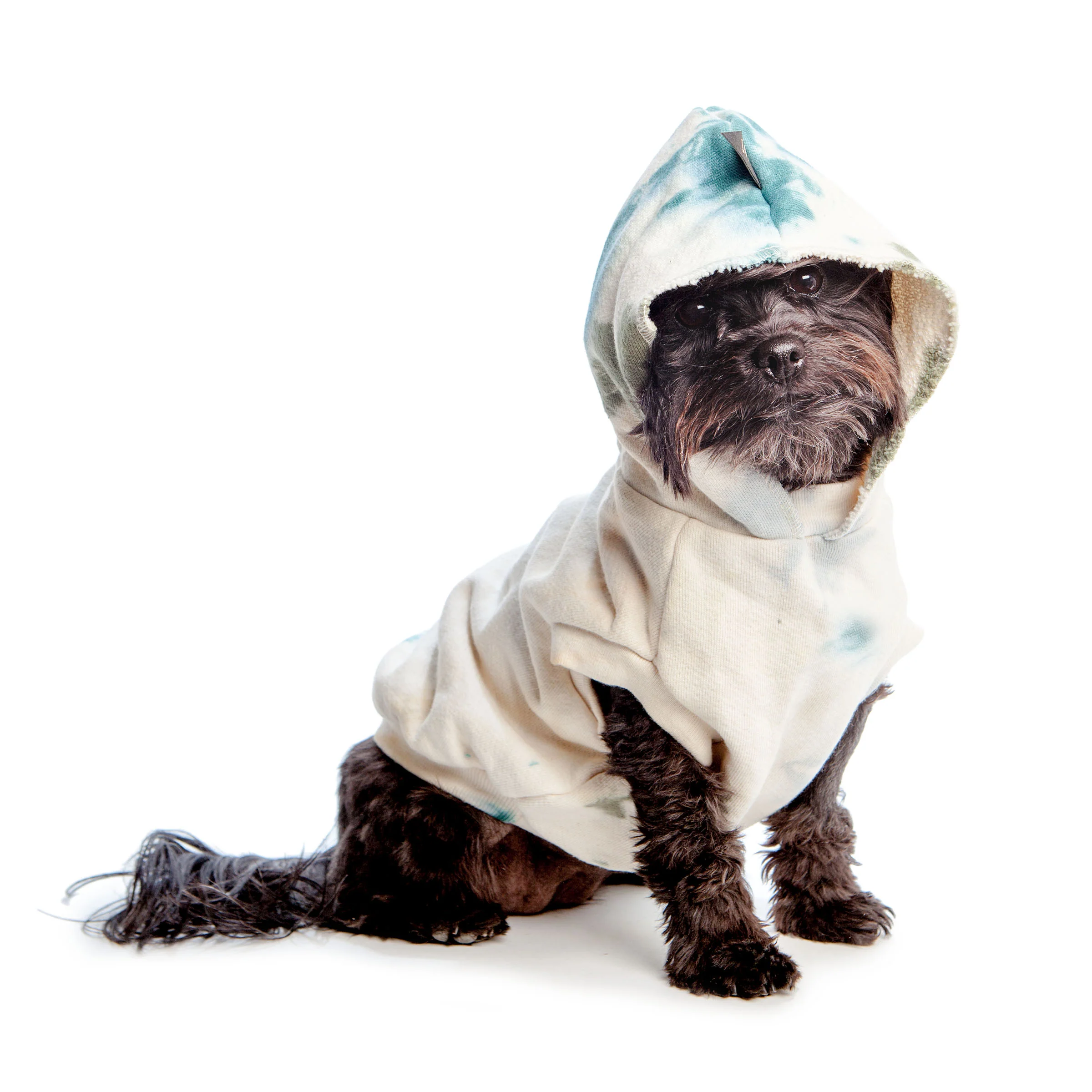 Catskill Sweatshirt (FINAL SALE) - Image 2