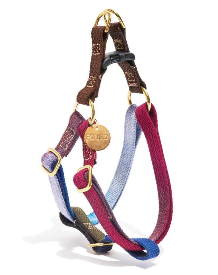 Cotton Webbing Dog Harness in Mood Ring (FINAL SALE)