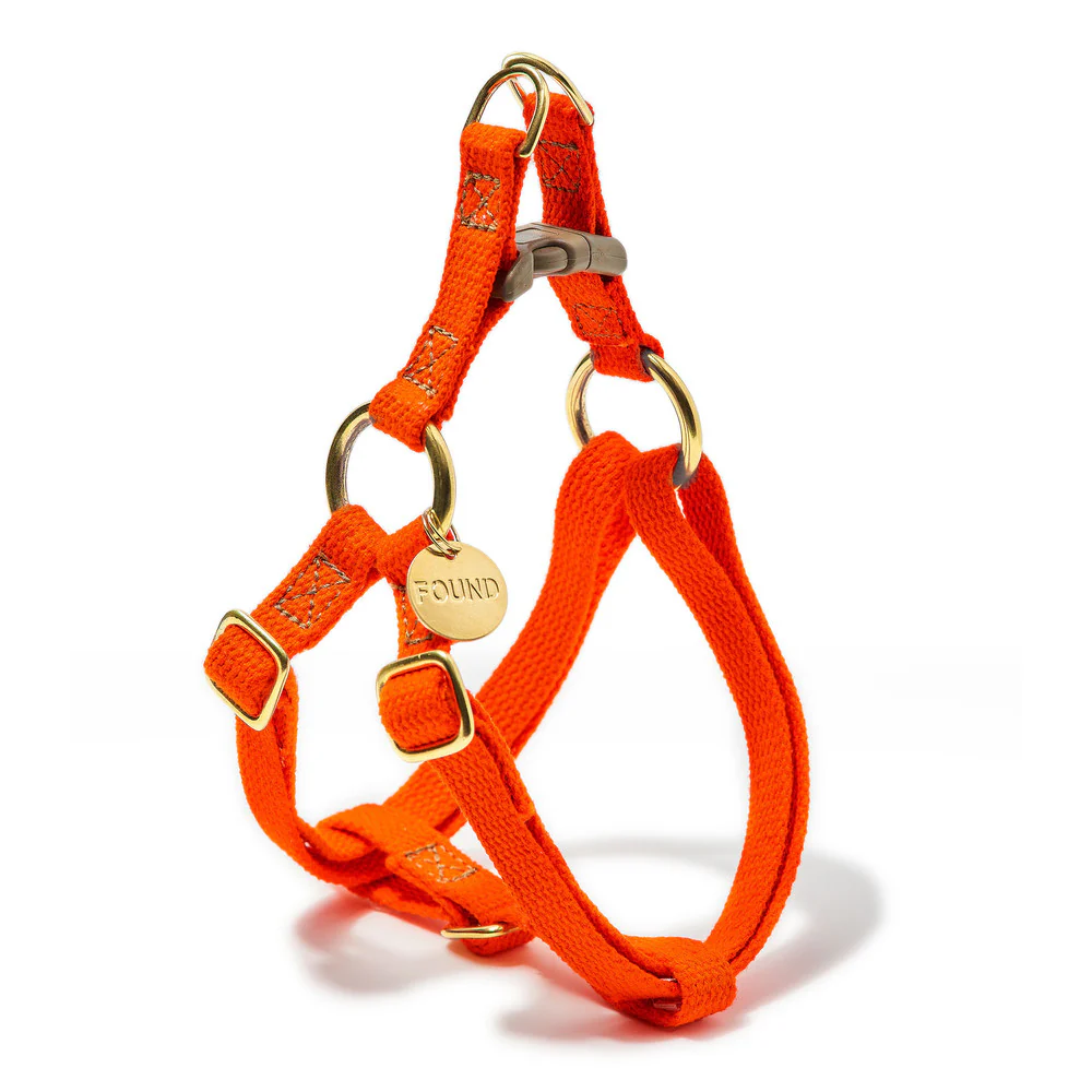 Cotton Webbing Harness in Orange - Image 3