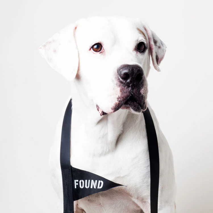 FOUND MY ANIMAL | Leather Alternative Leash in Black - Image 2