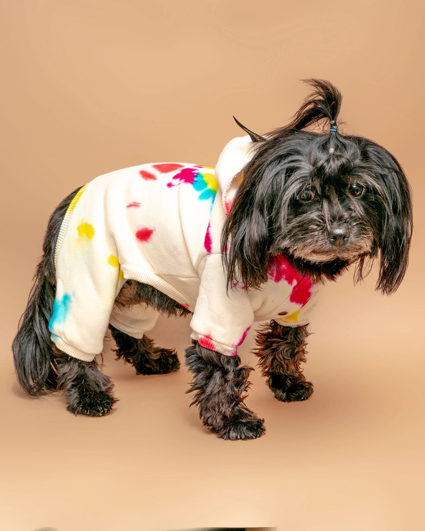 Studio Splatter Dog Onesie in Prismatic << FINAL SALE >> - Image 4