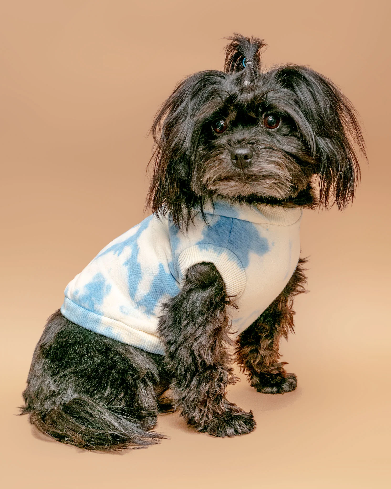 Studio Splatter Dog Sweatshirt in Basic Blue (CLEARANCE) - Image 2
