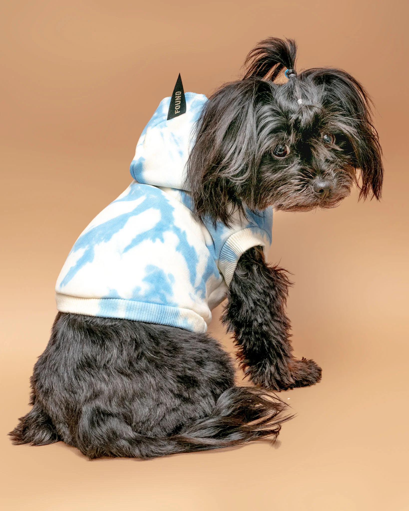 Studio Splatter Dog Sweatshirt in Basic Blue (CLEARANCE) - Image 3