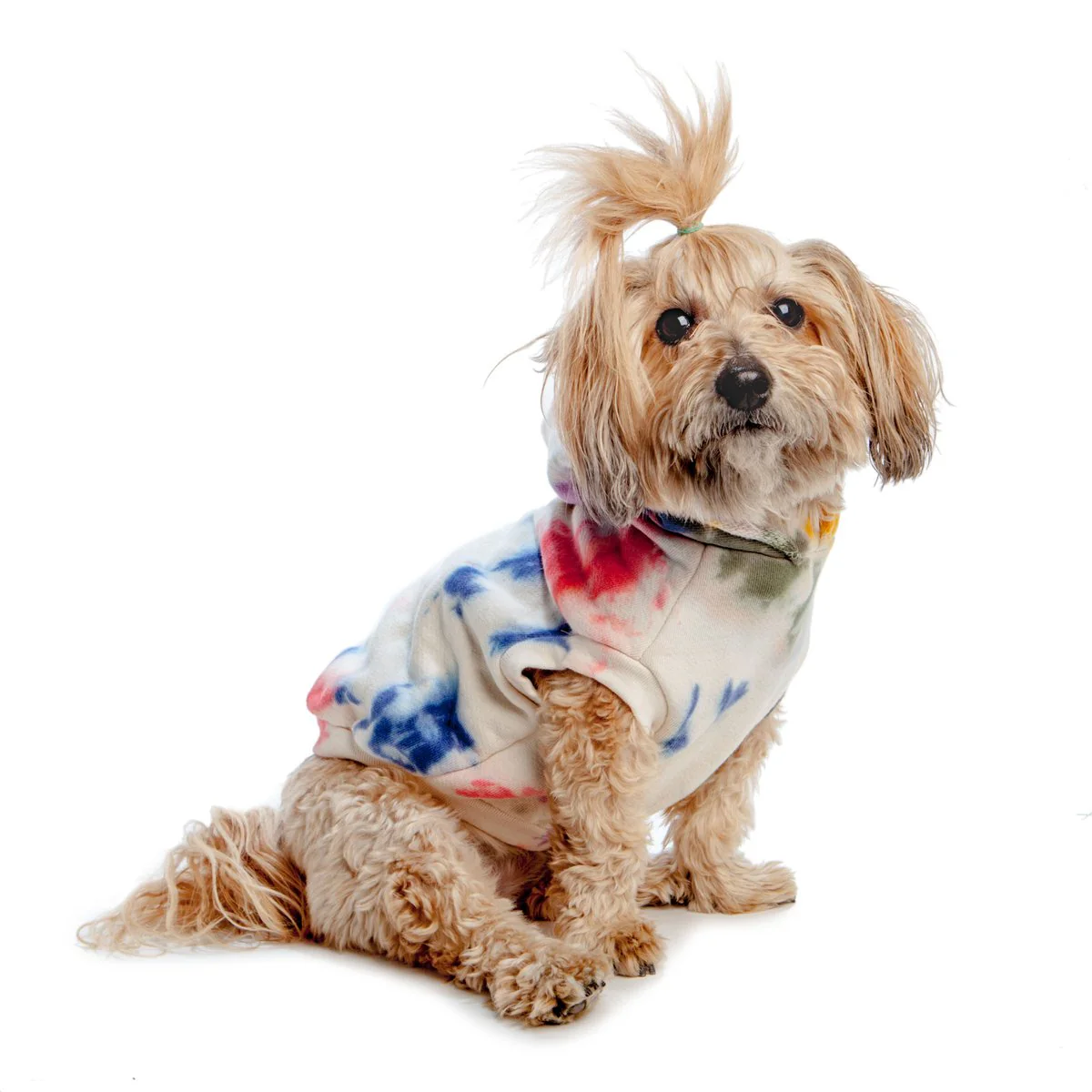 Studio Splatter Dog Sweatshirt in Henri (FINAL SALE) - Image 3