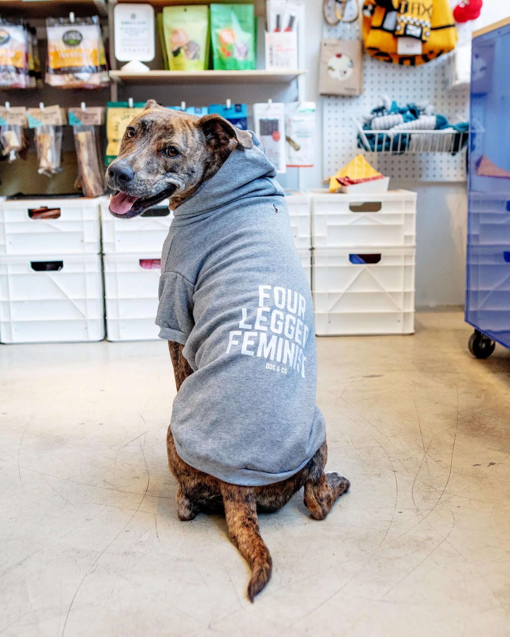 *Four Legged Feminist* Graphic Dog Hoodie (Proceeds Benefit the ACLU)