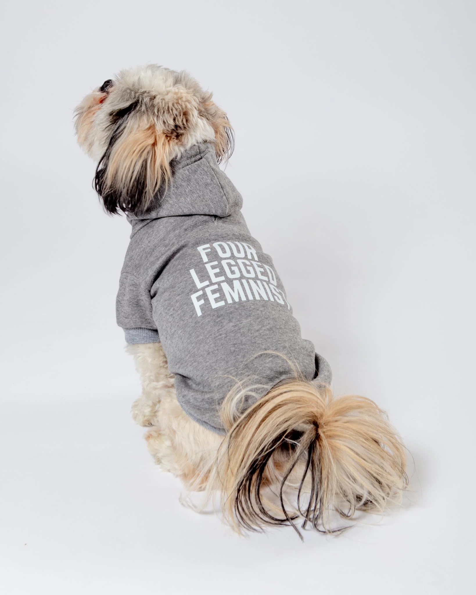 *Four Legged Feminist* Graphic Dog Hoodie (Proceeds Benefit the ACLU) - Image 2
