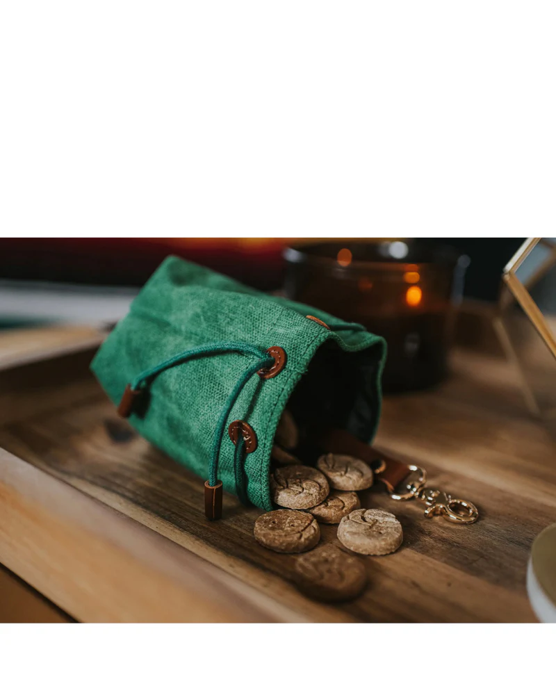 Waxed Canvas and Vegan Leather Dog Treat Knapsack in Evergreen<br>(FINAL SALE) - Image 4
