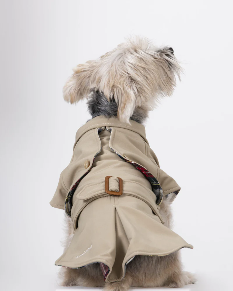 Frankie Dog Trench Coat (Made in Spain) (FINAL SALE) - Image 3