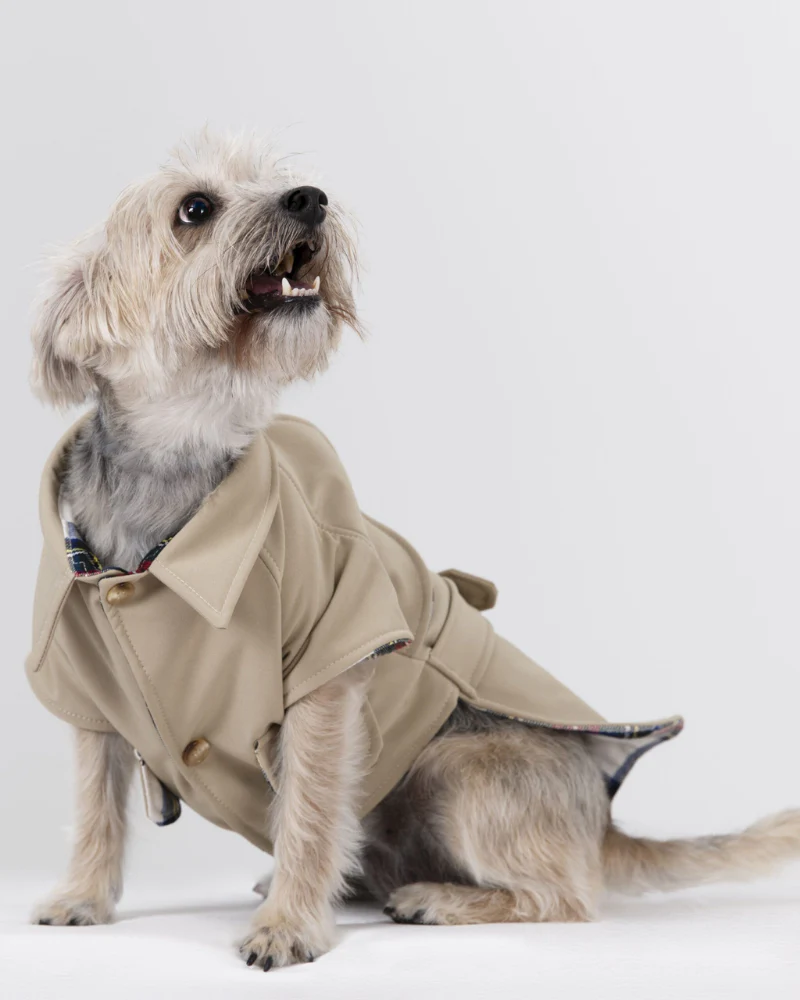 Frankie Dog Trench Coat (Made in Spain) (FINAL SALE) - Image 6
