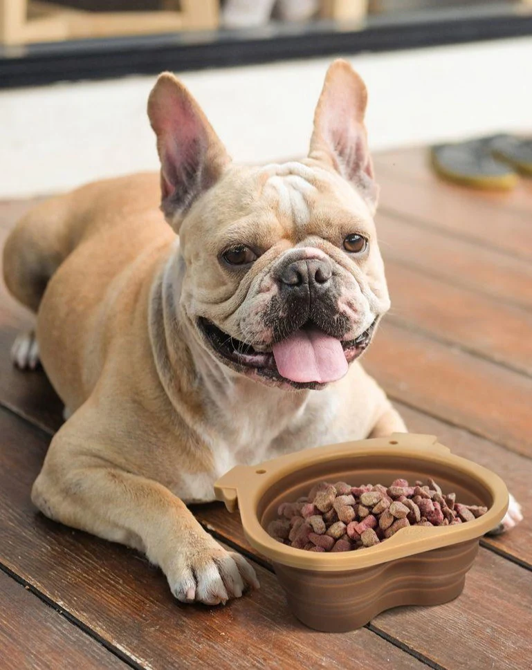 Collapsible Dog Face Travel Bowl (FINAL SALE) - Image 5