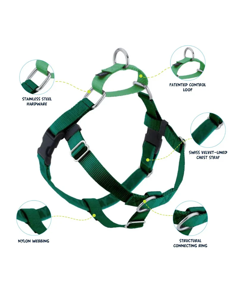 Freedom No-Pull Harness in Kelly Green (Made in the USA) (FINAL SALE) - Image 7