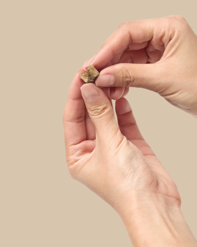 Freeze-Dried Beef Liver On-the-Go Dog Treat Pack - Image 3