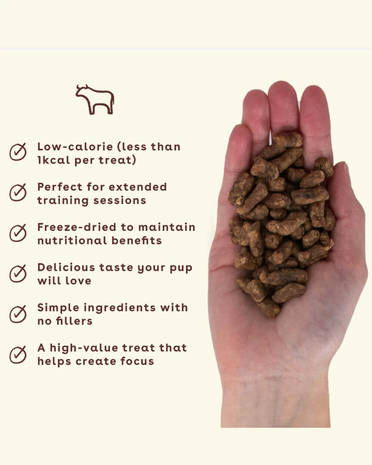 Freeze Dried Beef Liver Training Treats - Image 5