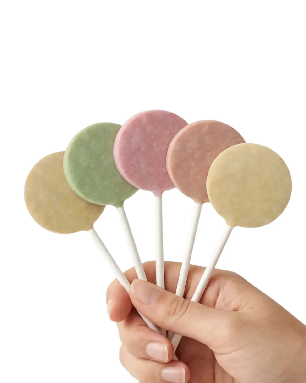 Freeze-Dried Chicken Lollipop Treats for Cats and Dogs - Image 2