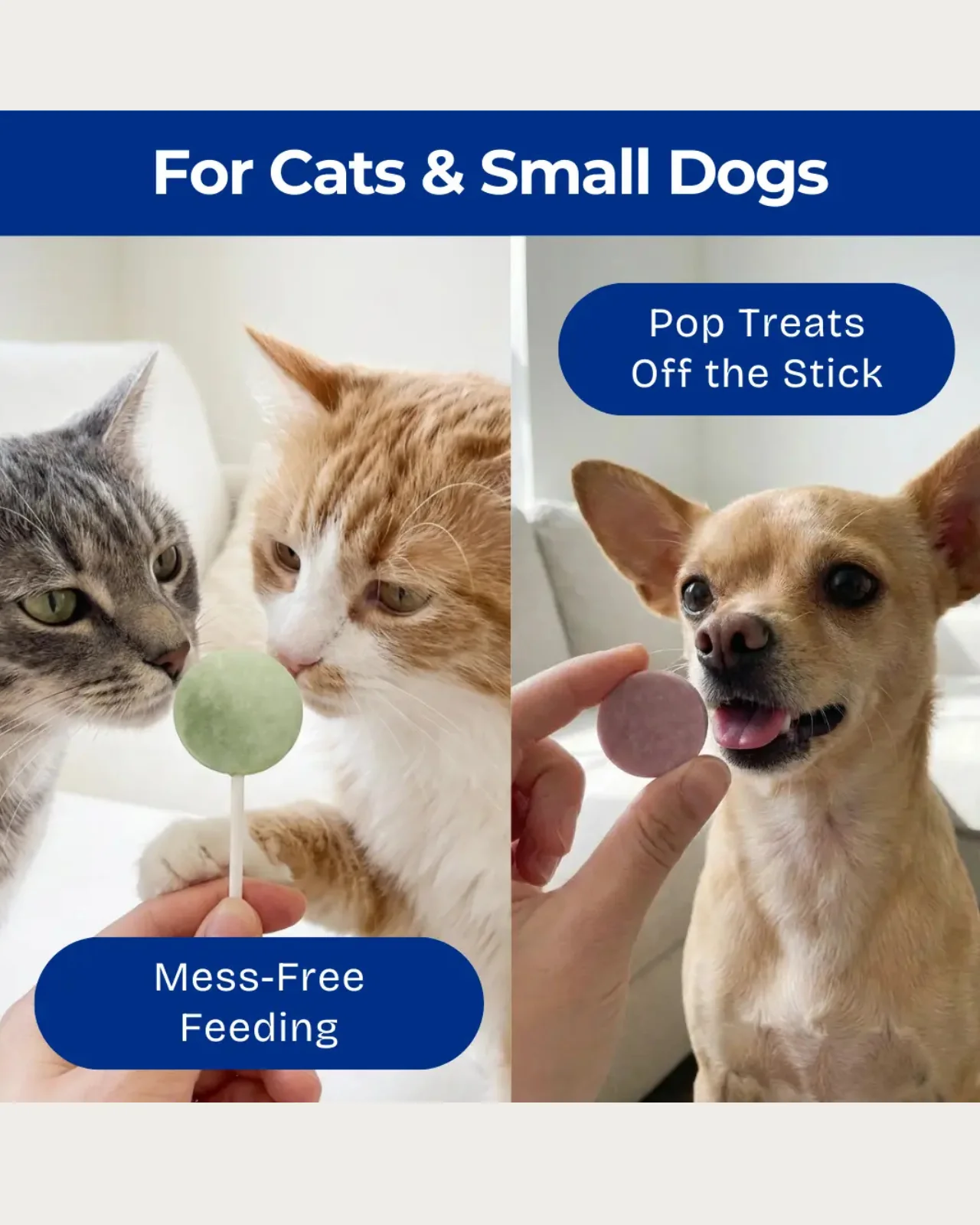 Freeze-Dried Chicken Lollipop Treats for Cats and Dogs - Image 5