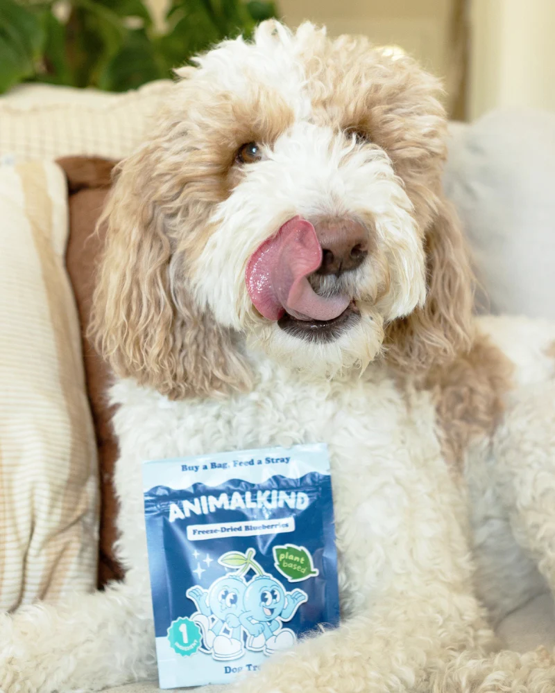 Freeze-Dried Fruit Dog Treats - Image 7