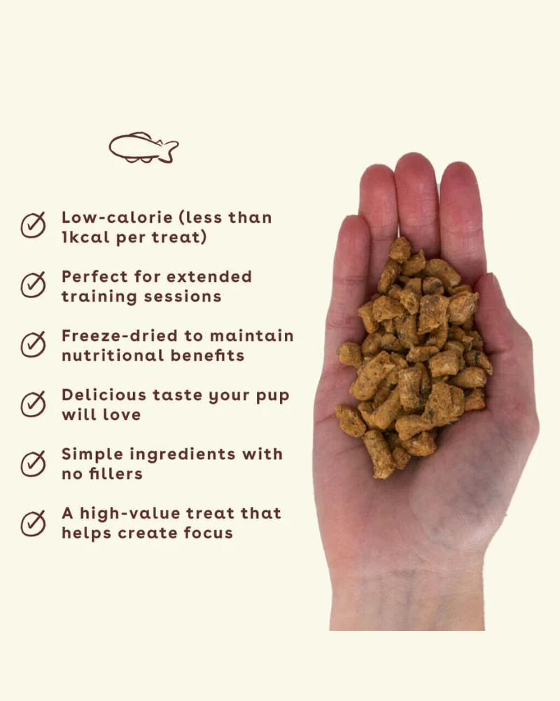 Freeze Dried Salmon Dog Training Treats - Image 2