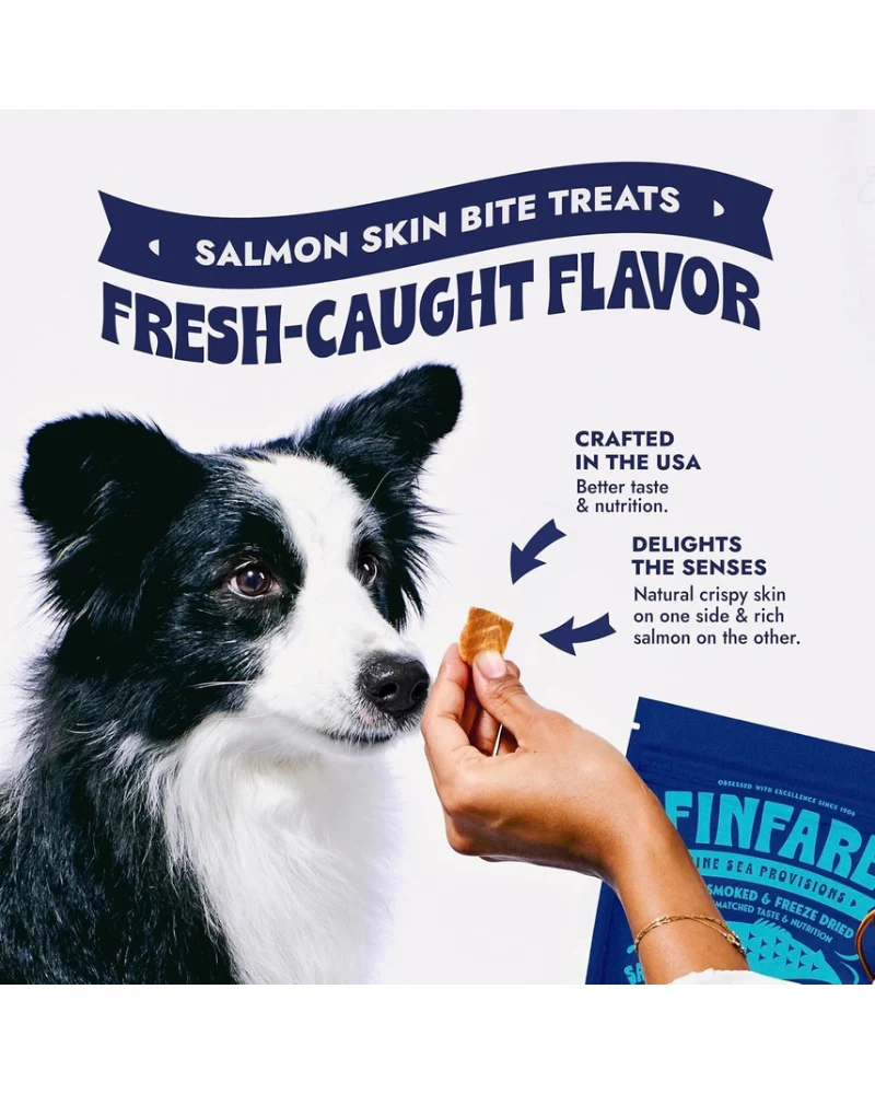 Freeze-Dried Salmon Skin Bites for Dogs - Image 6