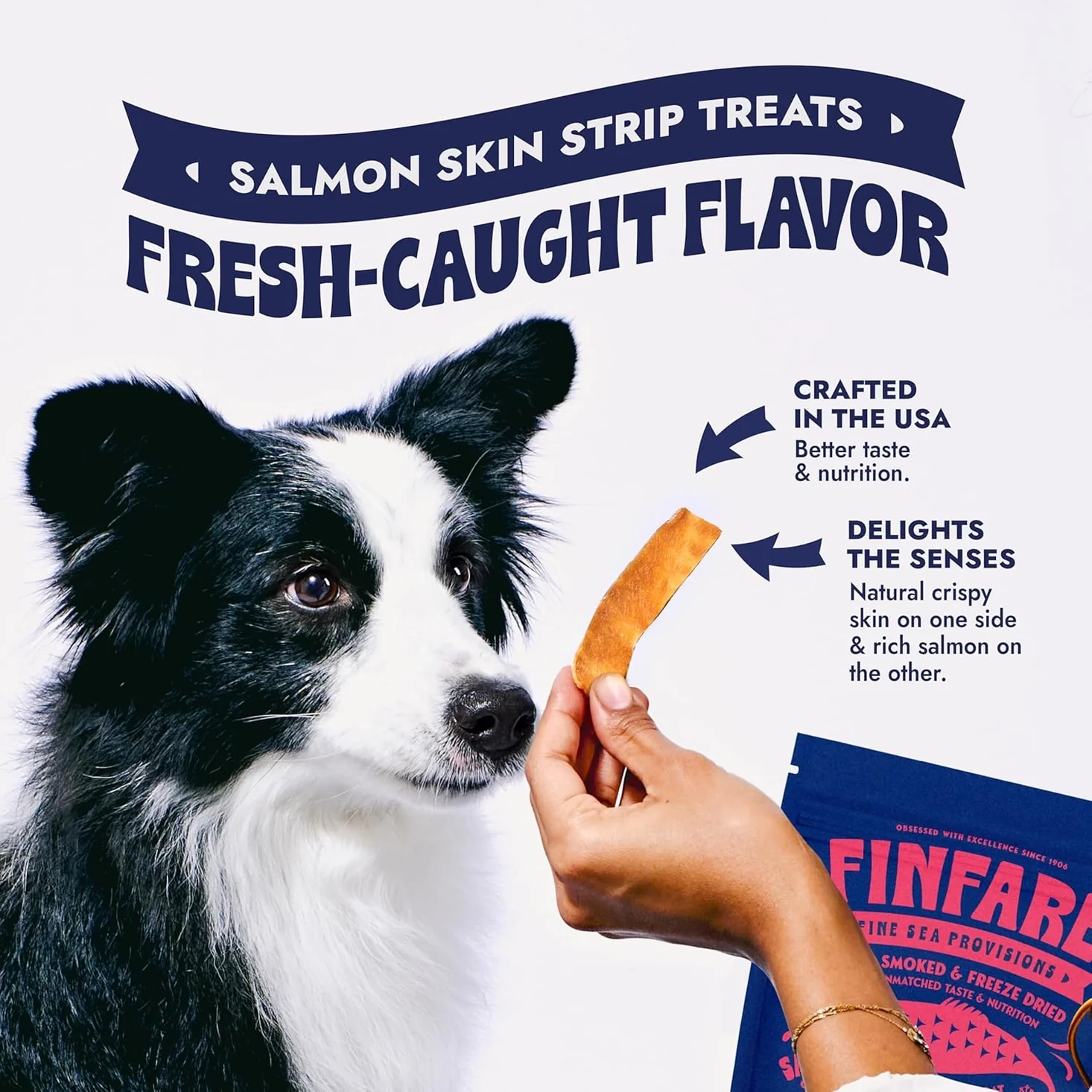 Freeze-Dried Salmon Skin Strips for Dogs - Image 4