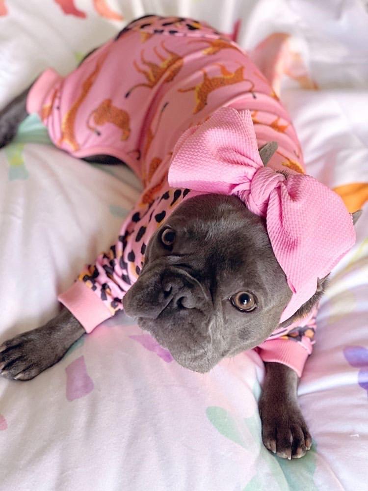 Leopard & Cheetah Print French Bulldog Pajamas (FINAL SALE) - Image 4
