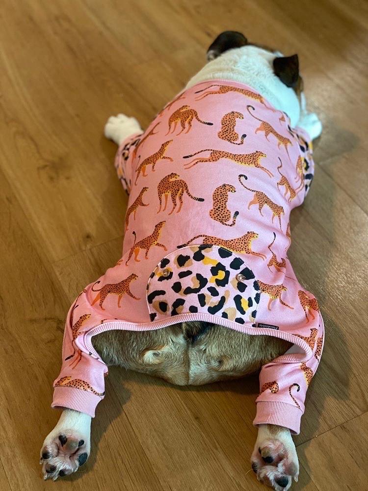 Leopard & Cheetah Print French Bulldog Pajamas (FINAL SALE) - Image 6