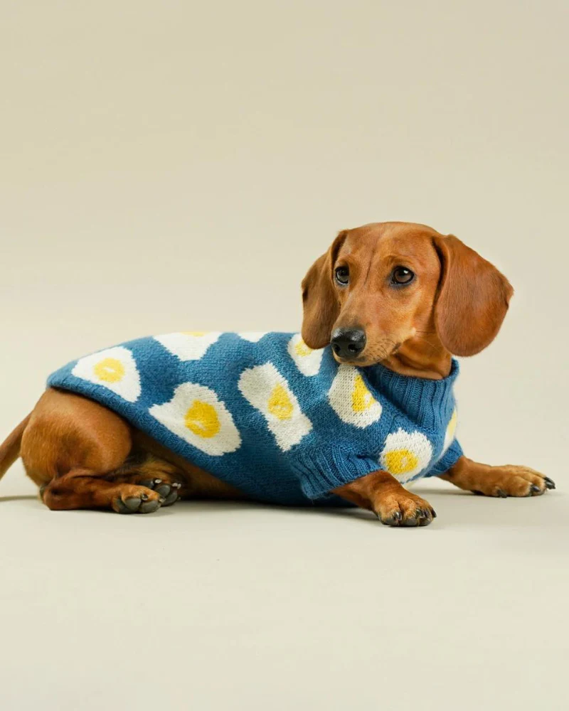 Fried Eggs Dog Sweater - Image 3