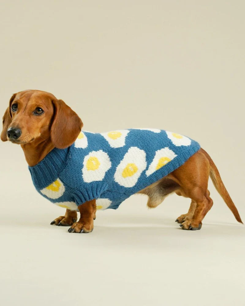 Fried Eggs Dog Sweater - Image 4