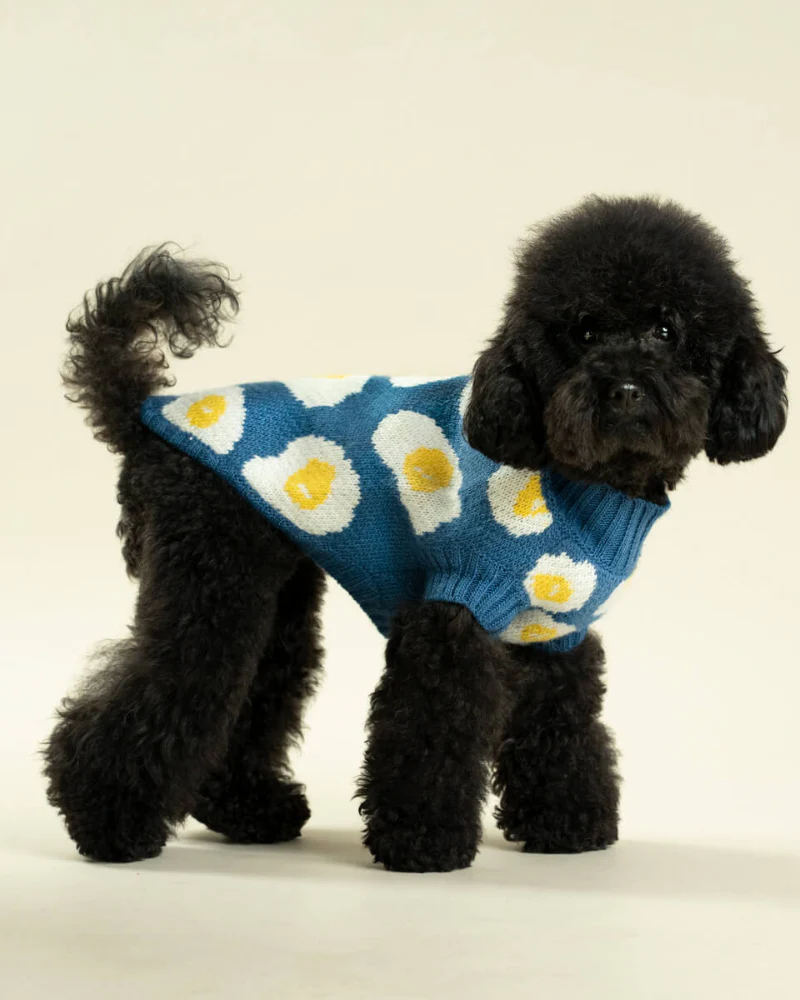 Fried Eggs Dog Sweater - Image 6