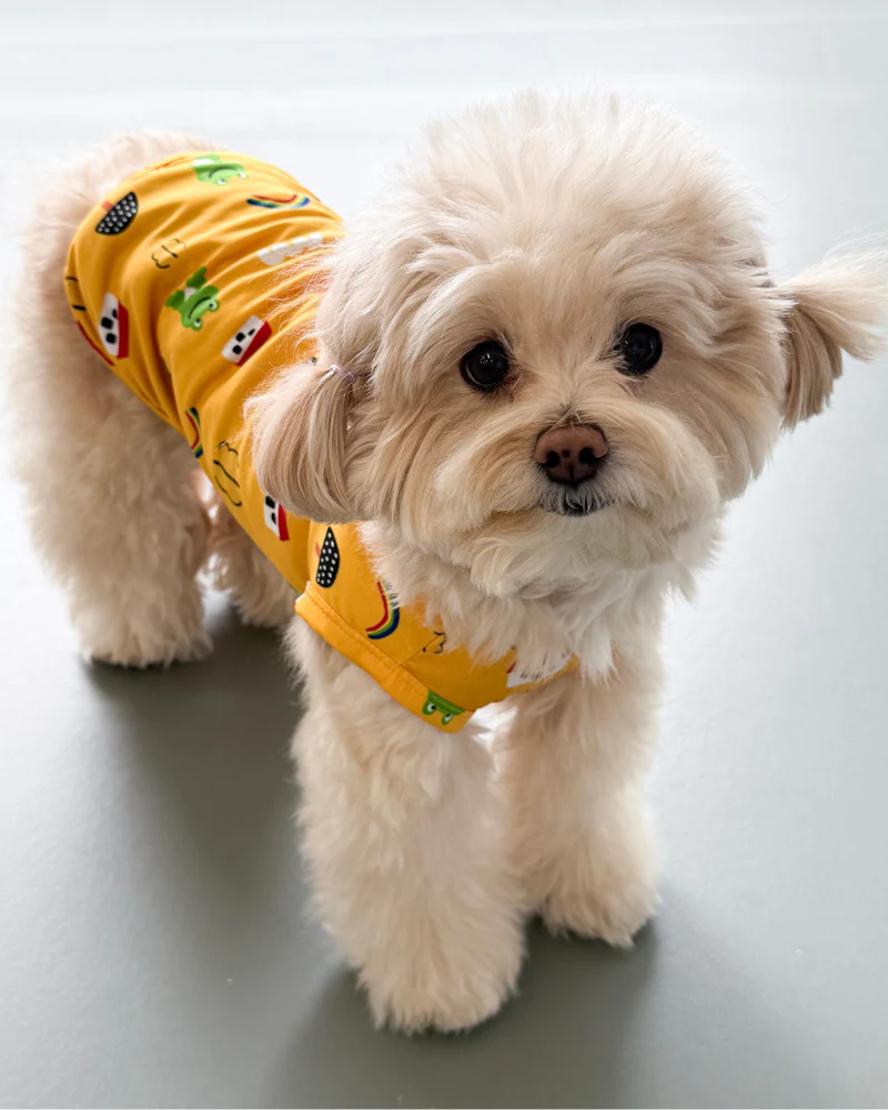 Froggy Friend Dog Cooling Tee - Image 3