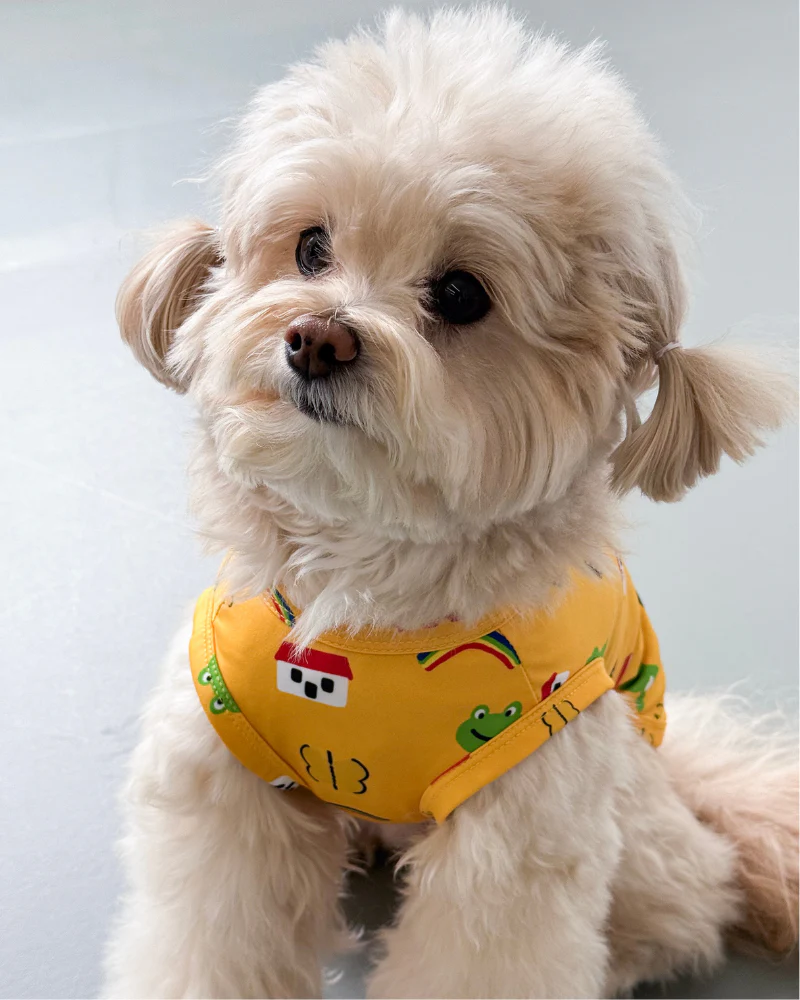 Froggy Friend Dog Cooling Tee - Image 4