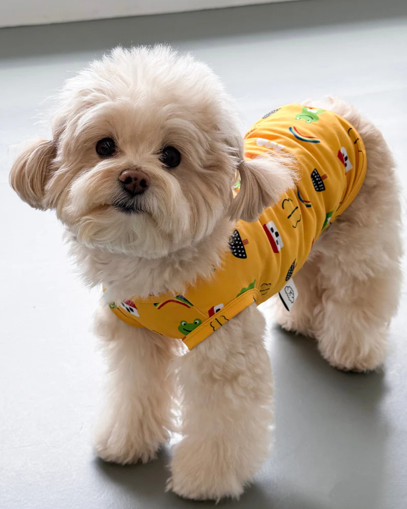 Froggy Friend Dog Cooling Tee - Image 5