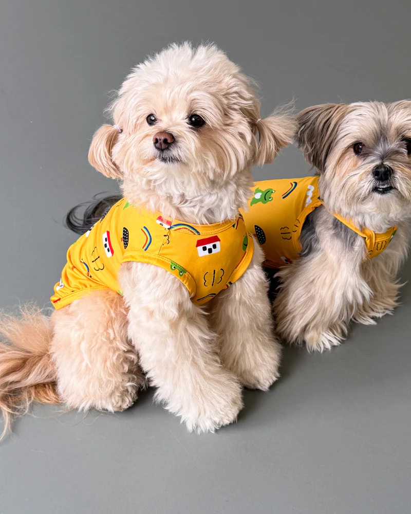 Froggy Friend Dog Cooling Tee - Image 6