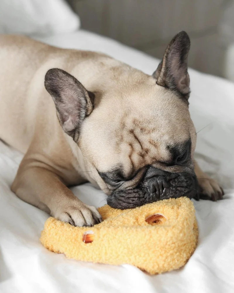 Fromage Enrichment Dog Toy - Image 6