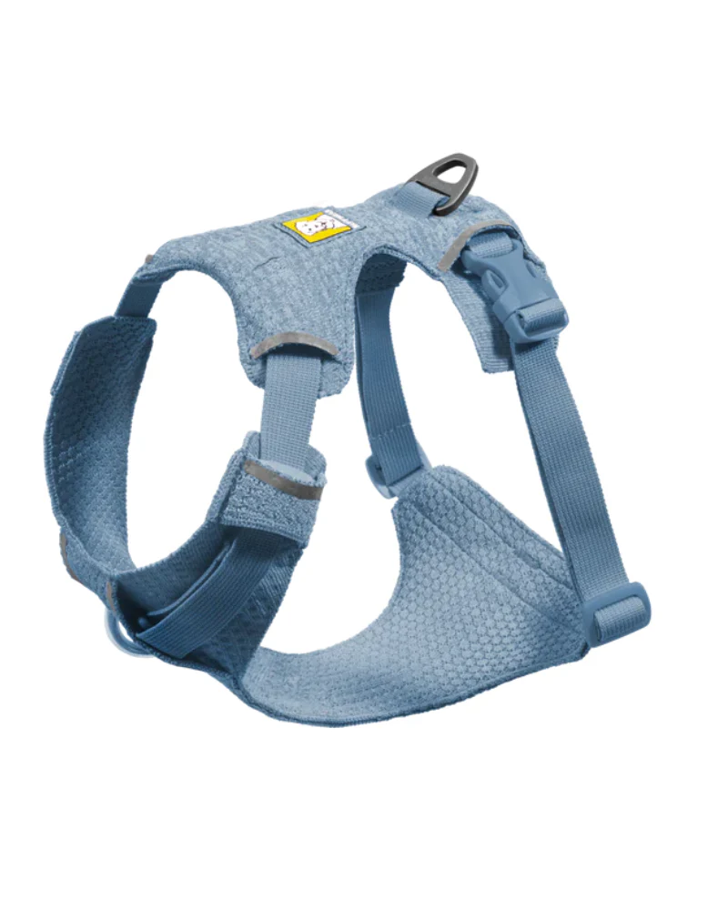 Front Range Flex Harness in Polar Blue - Image 4