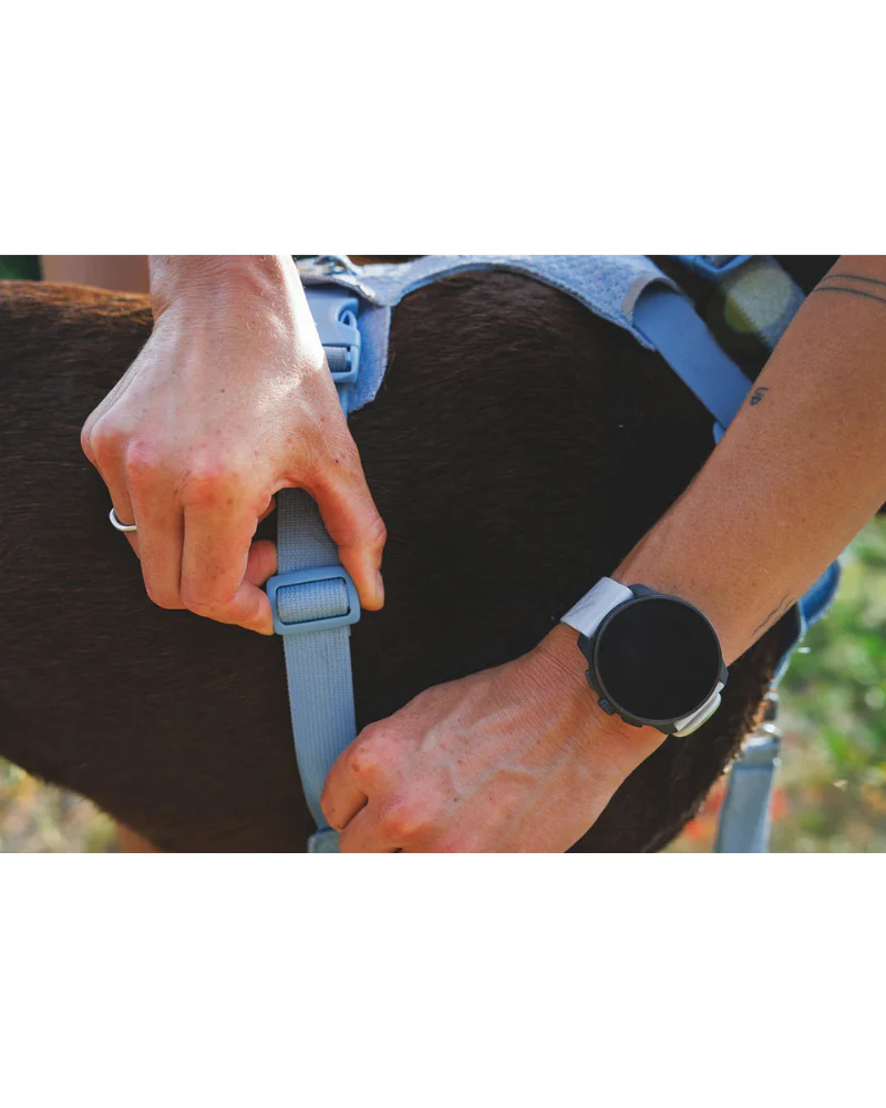 Front Range Flex Harness in Polar Blue - Image 7