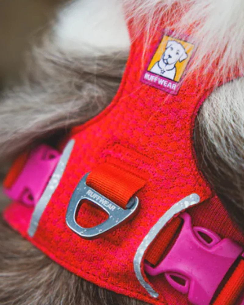 Front Range Flex Harness in Rose Violet - Image 2