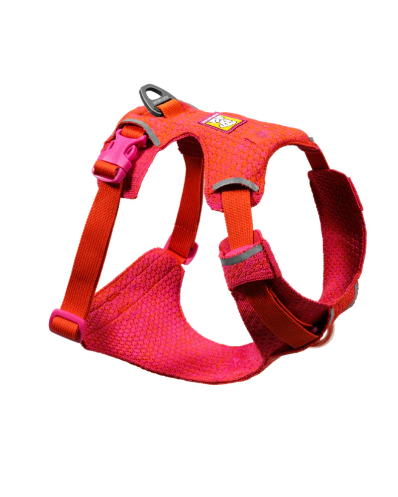 Front Range Flex Harness in Rose Violet - Image 3